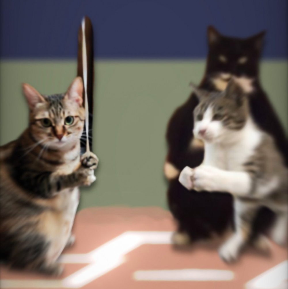 喵：「朕要全壘打！」