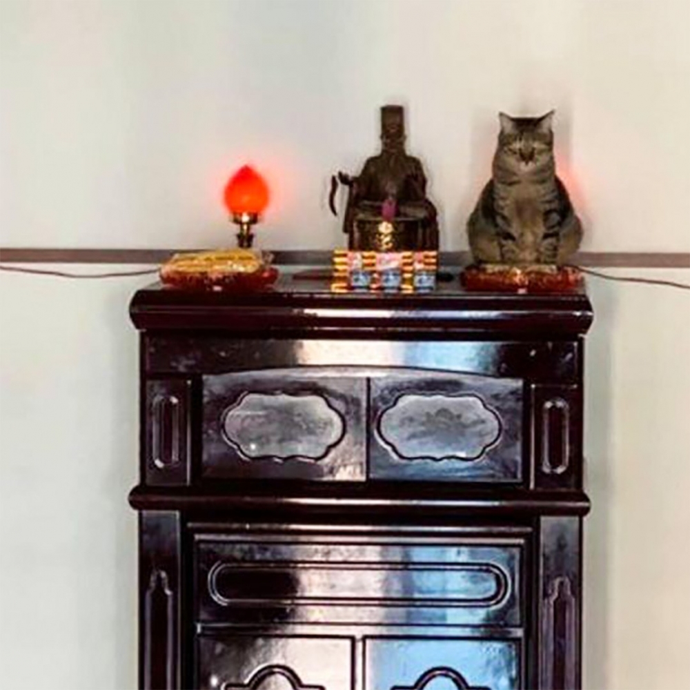 奴才:「小的馬上就來!」