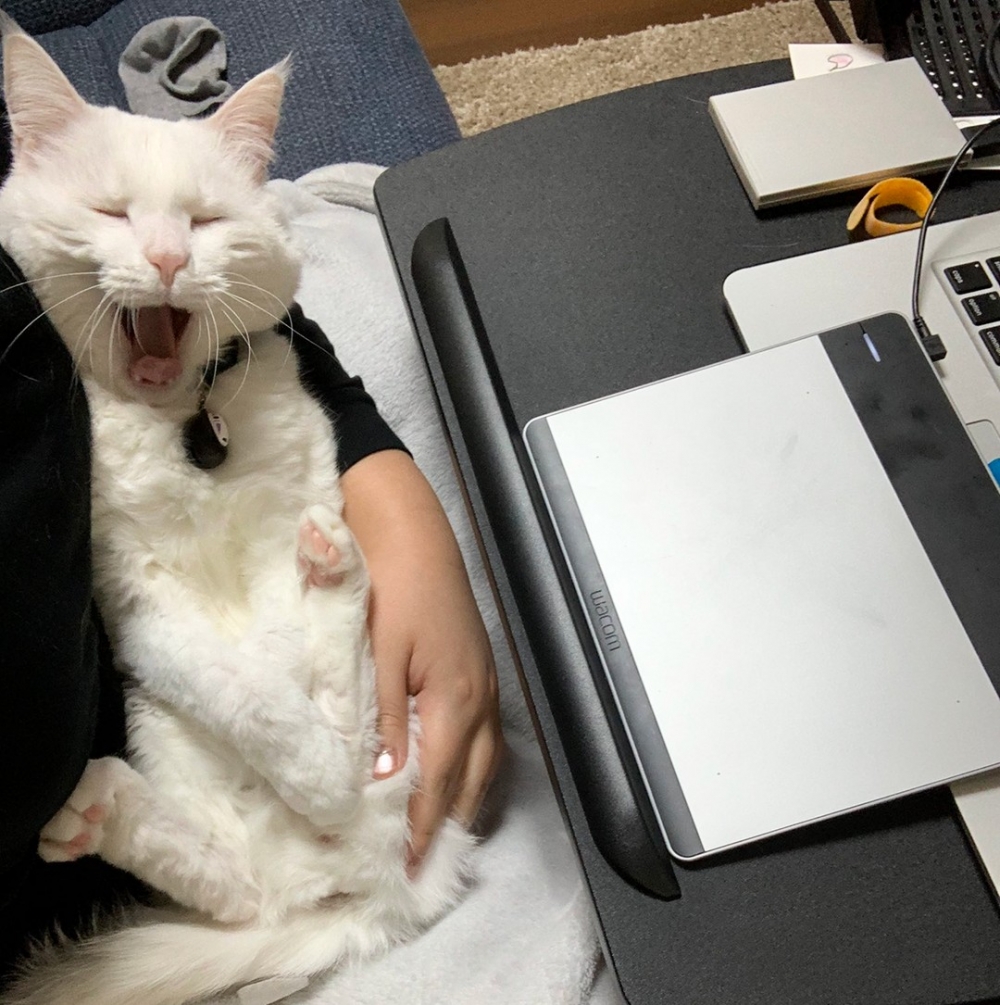 工作：「窩完全被忘記了?」