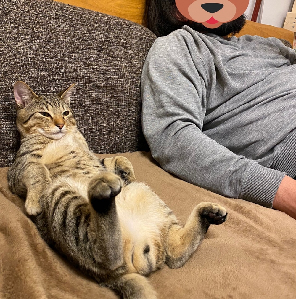 喵：「奴才這姿勢不錯喔～」