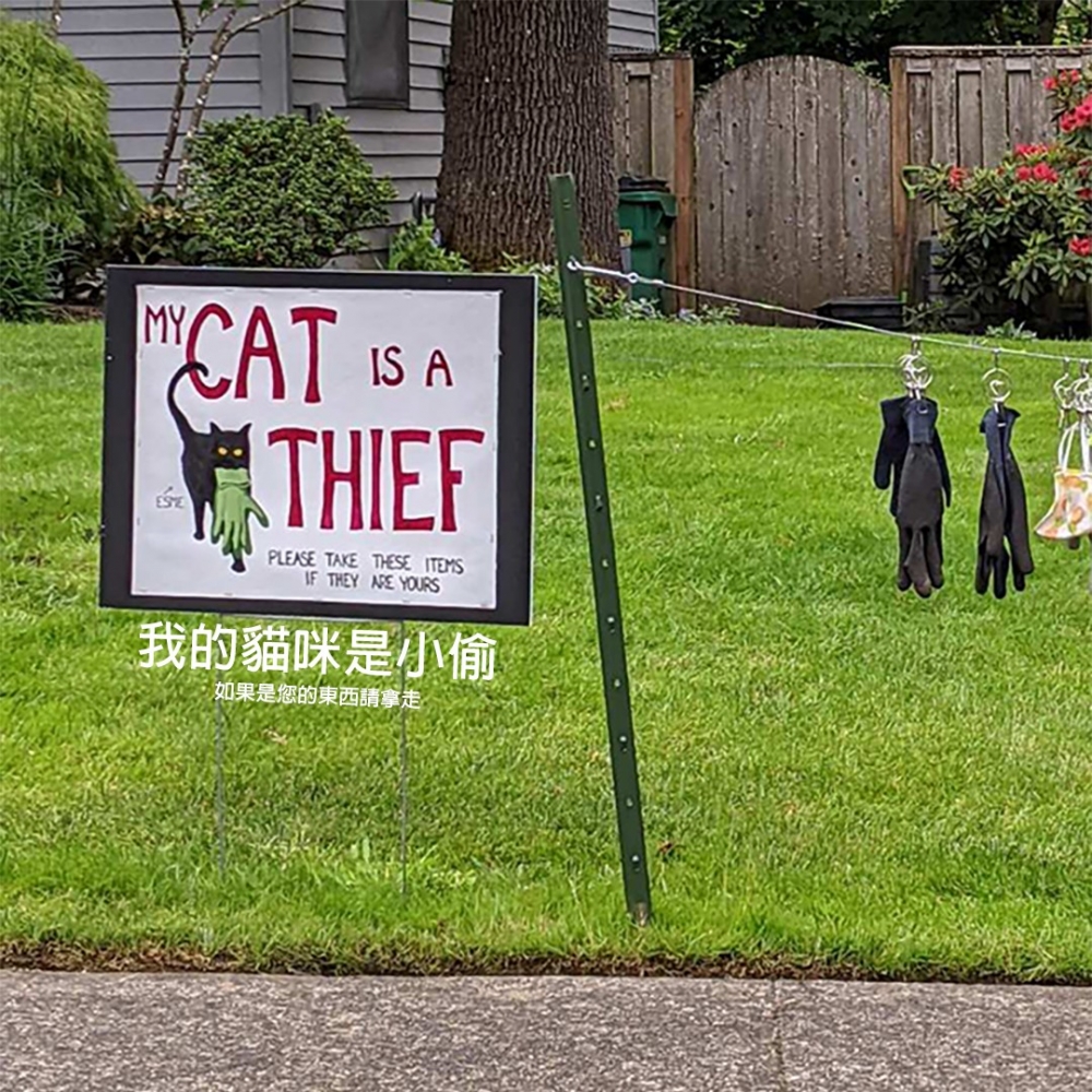 喵：「別把朕也畫出來啦！」