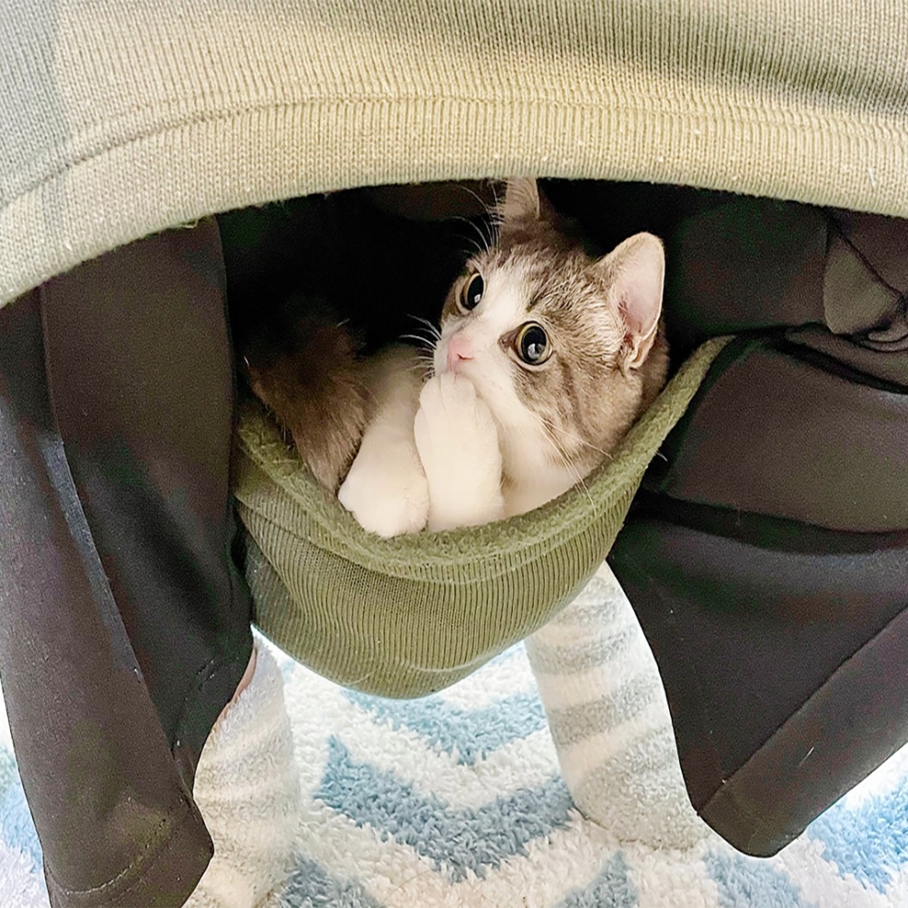 奴才：「這是什麼表情啦 ?」