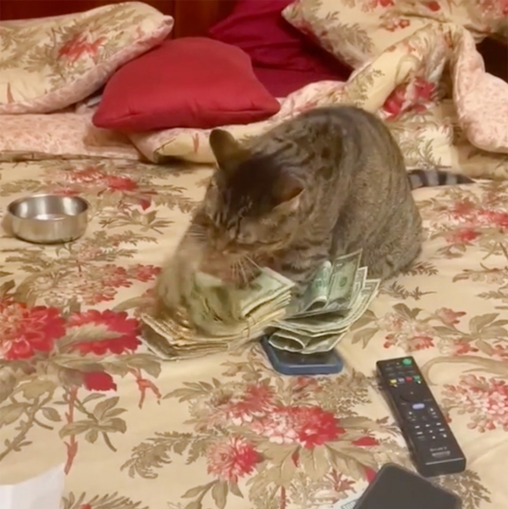 奴才：「說吧～你都去哪裡偷練了？」