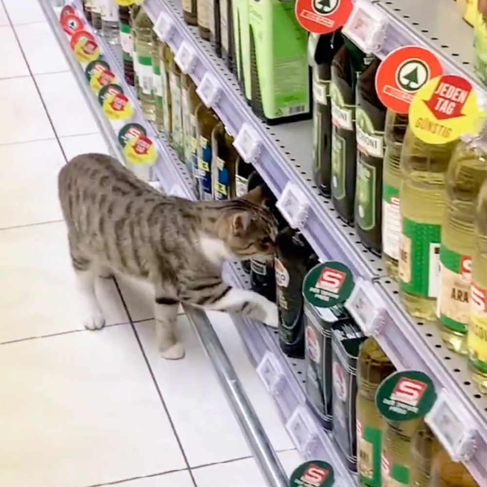 直接無視還在拍攝的網友～