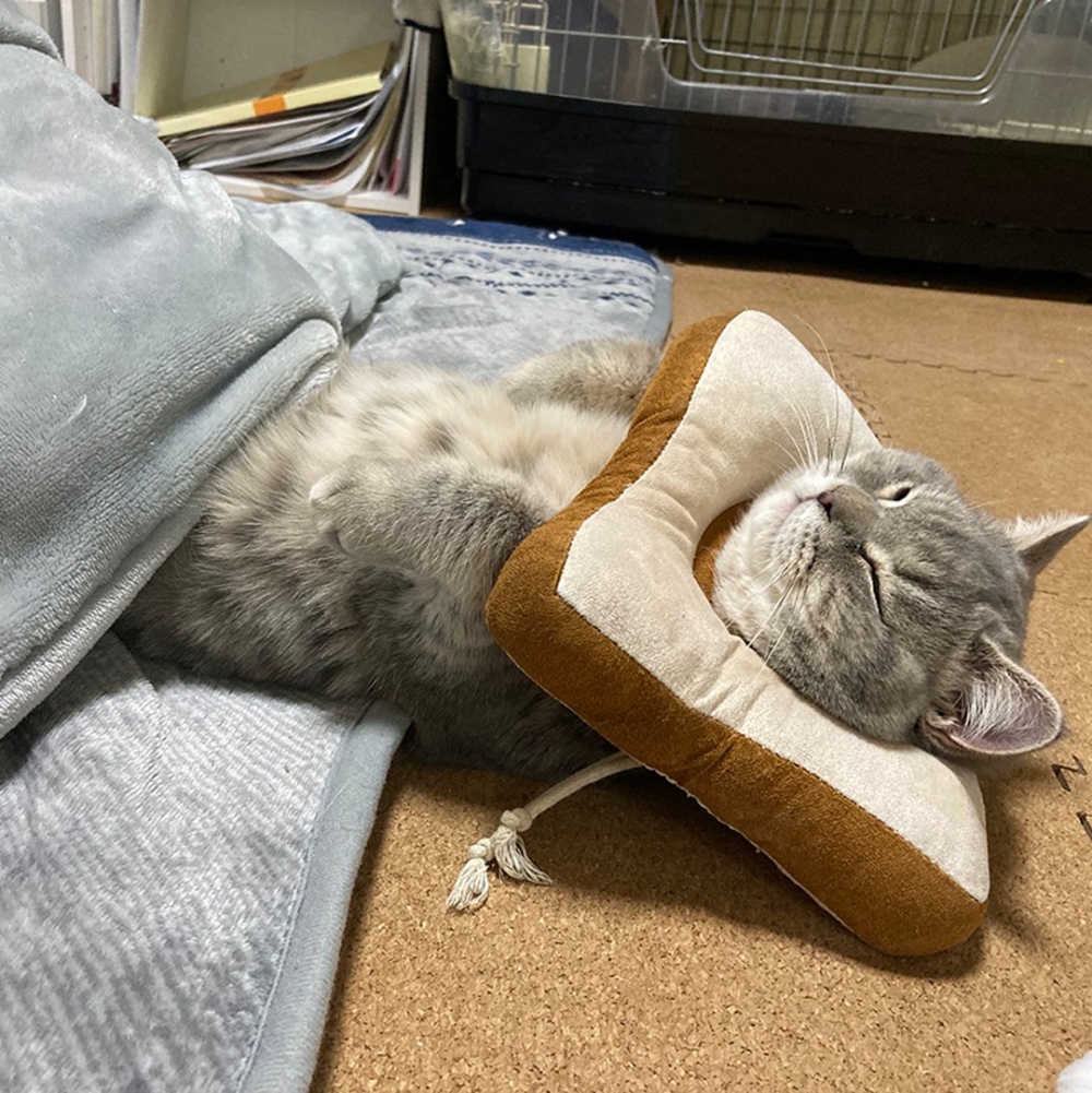 奴才：「我彷彿看見了自己」