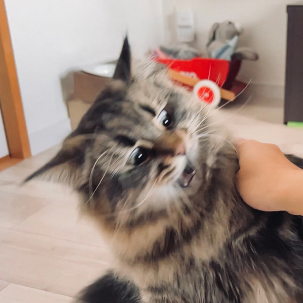 眼睛裡都是戲～