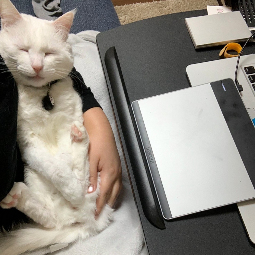 奴才（會心一擊）：「太萌了～～」