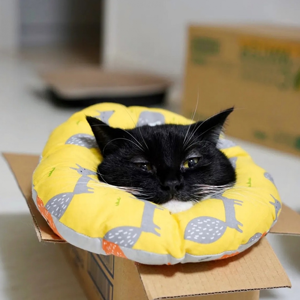 這組合太舒服啦～～