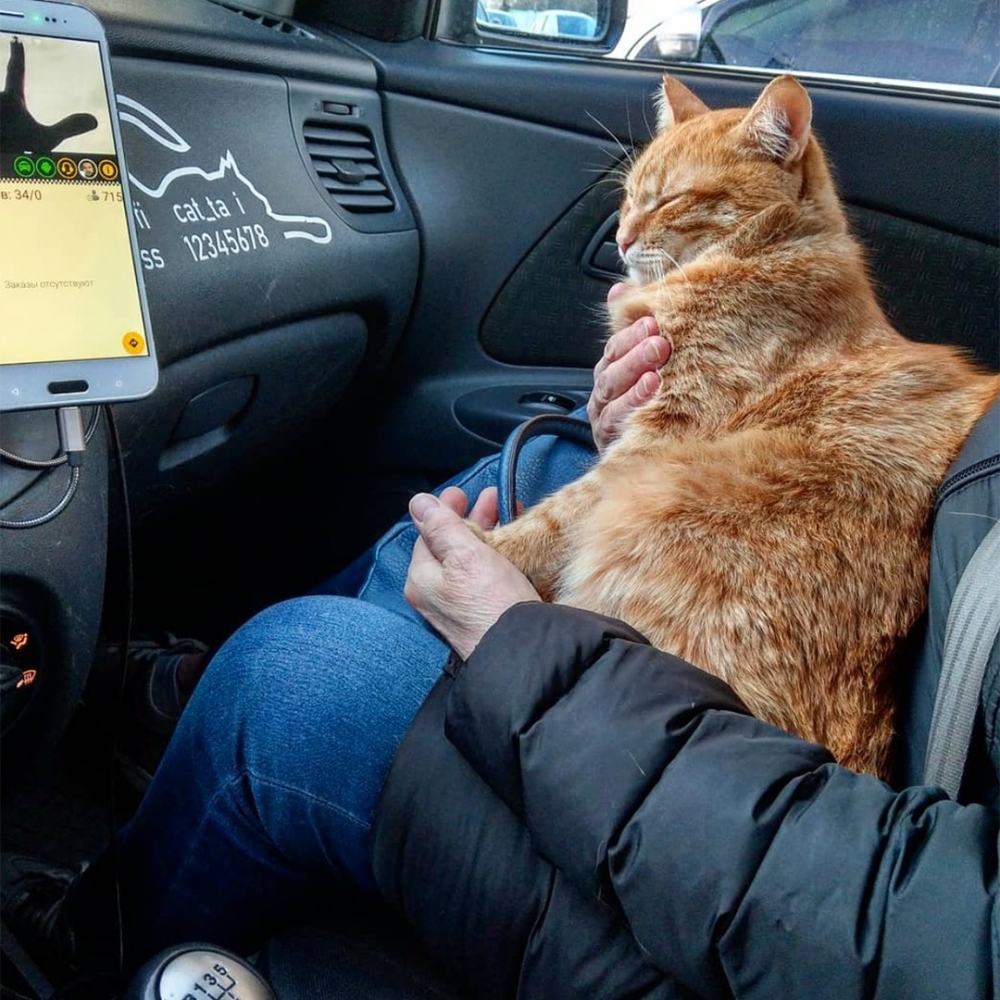 喵：「這份工作簡單啦～」