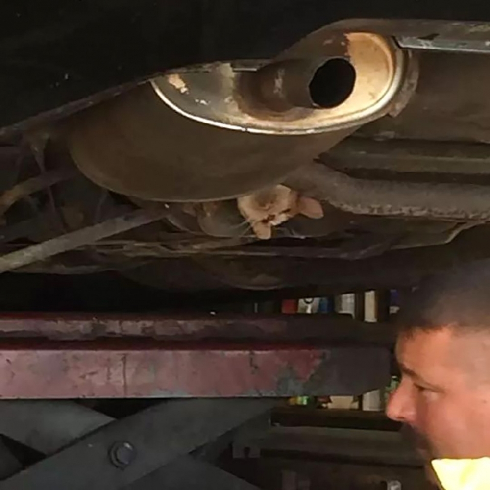 別怕!大家會努力把你救出來的!