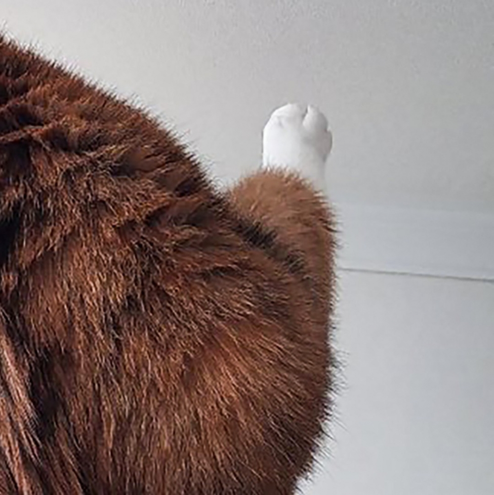 局部放大後網友們更餓了～