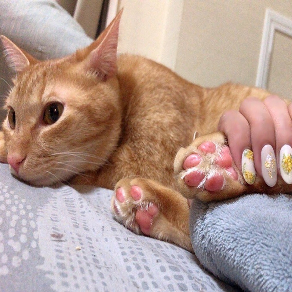 陪伴才是最長情的❤️