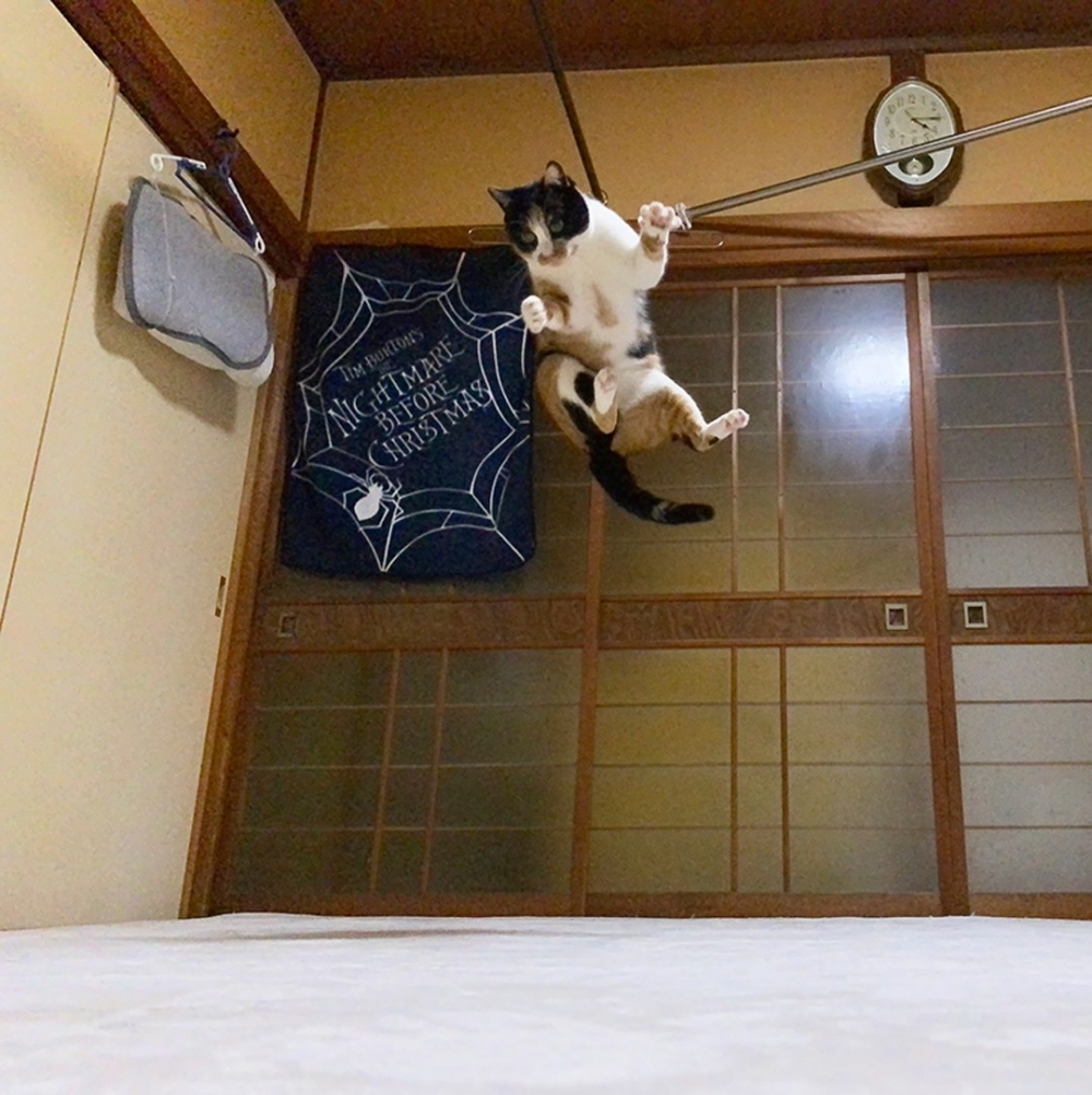 氣魄+姿勢=滿分！