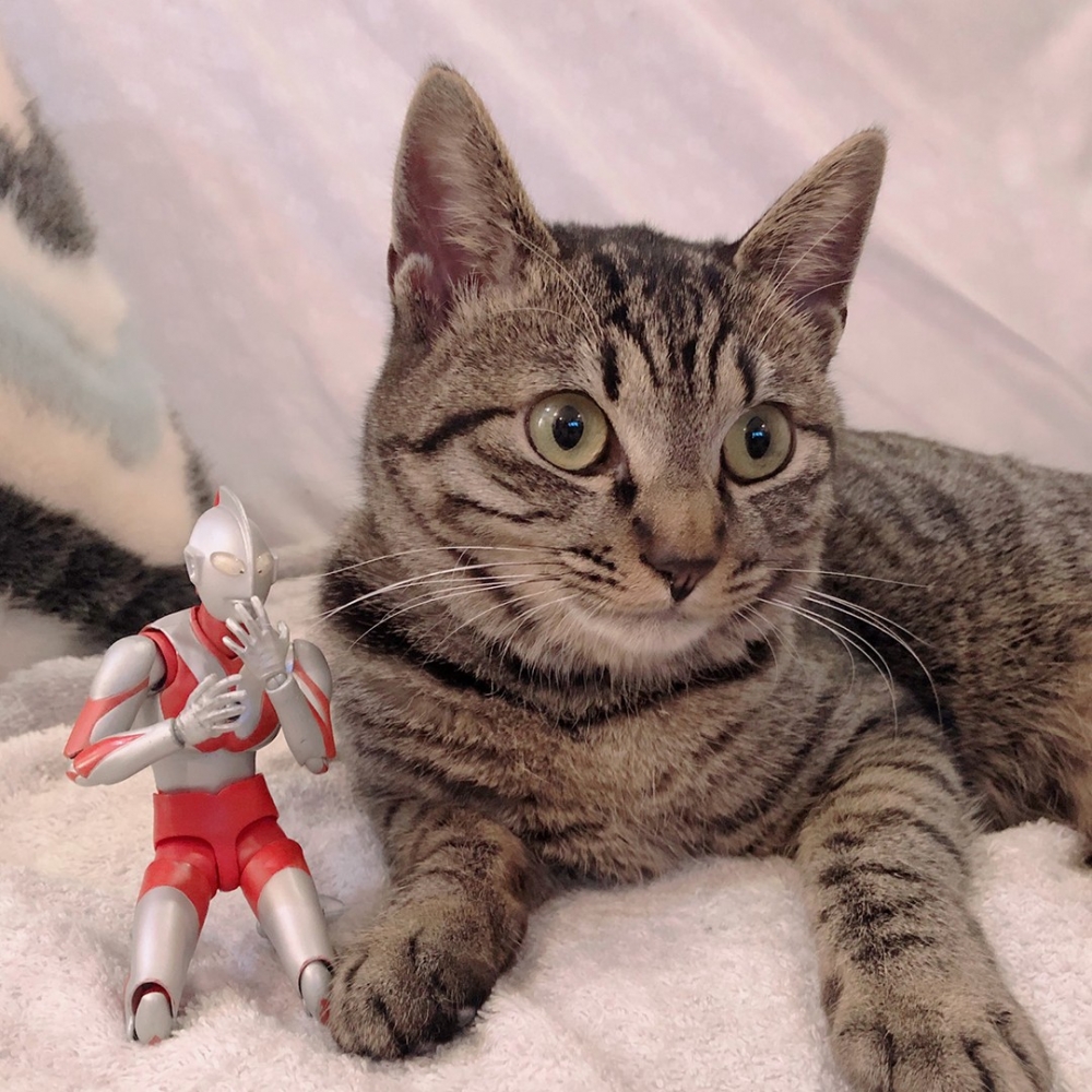 客人：「壓力山大」