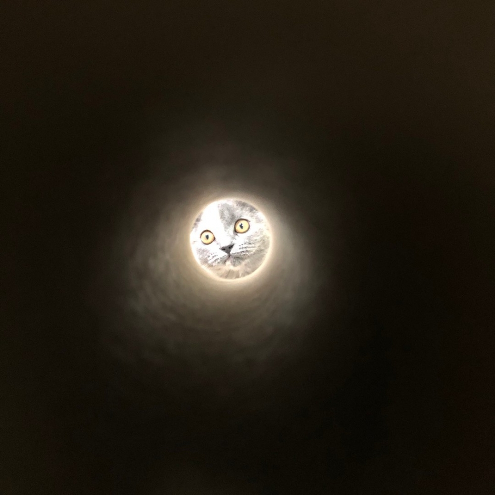 奴才:「你是看到了什麼不可告人的東西嗎XD」