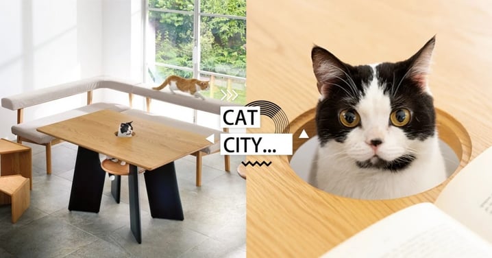 WFH貓奴福音！日本推「與貓同行」辦公桌開價16萬，巧手奴才：買不起只好DIY