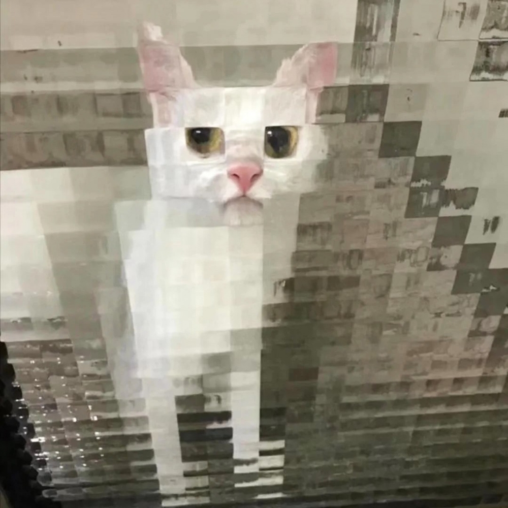 奴才：你怎麼這麼方呀XD