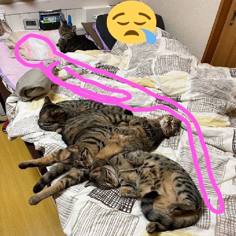 奴才：「這睡姿···明天我就起不來了」