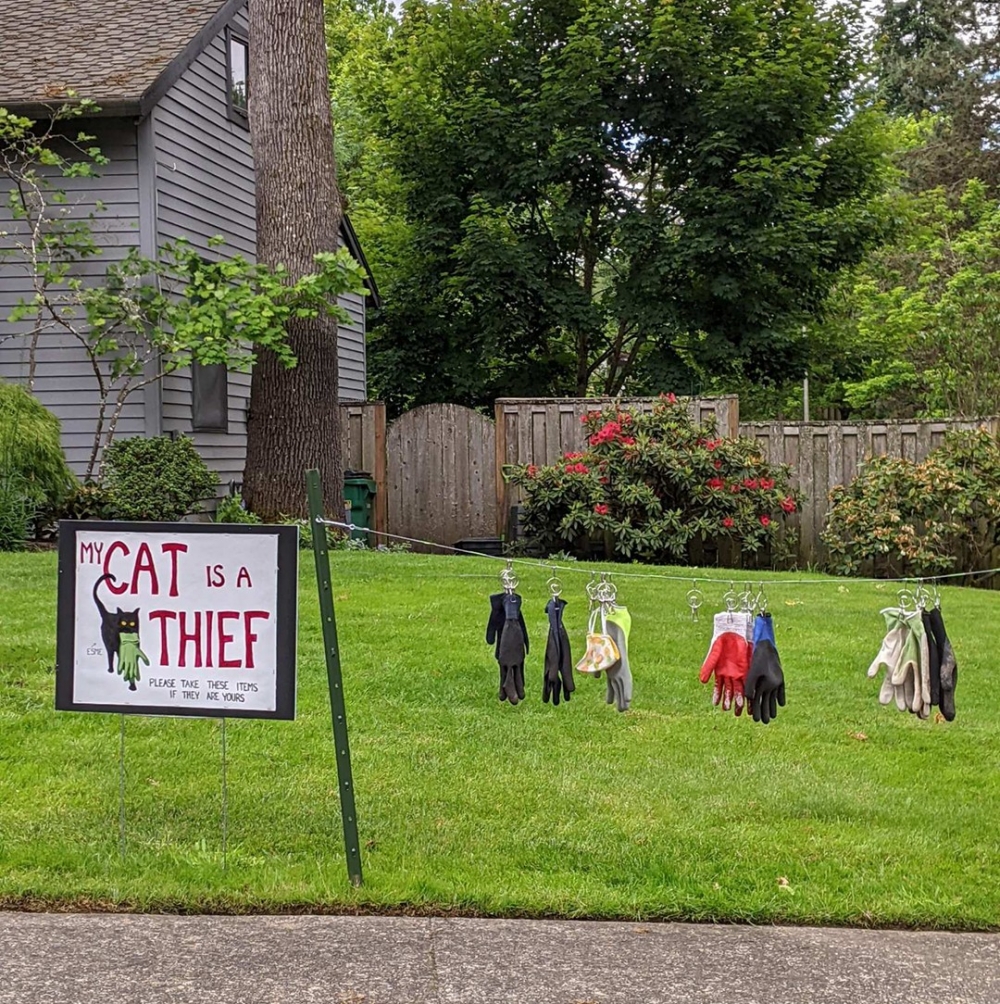 喵：「在這裡混不下去了啦」