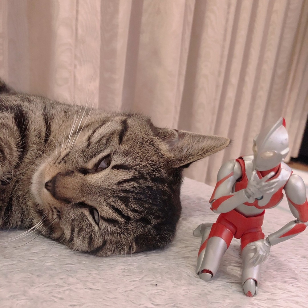 這個姿勢不錯！100分～～