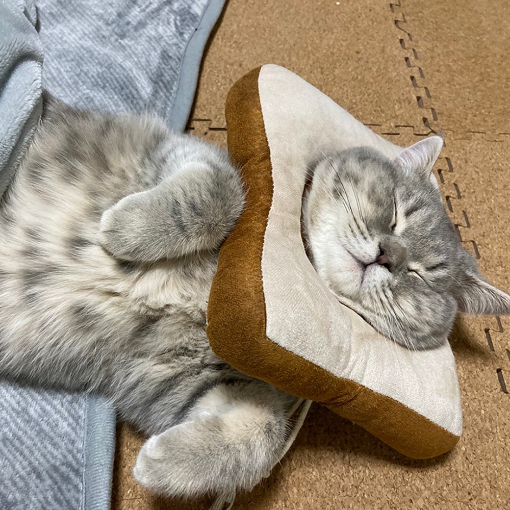 超得意的睡顏❤️