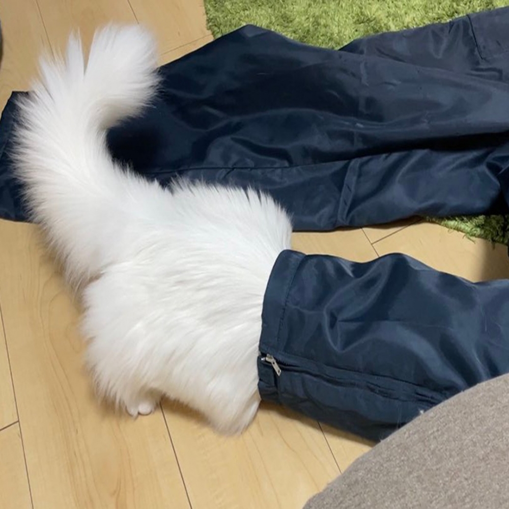 白花花的屁屁露出來了～