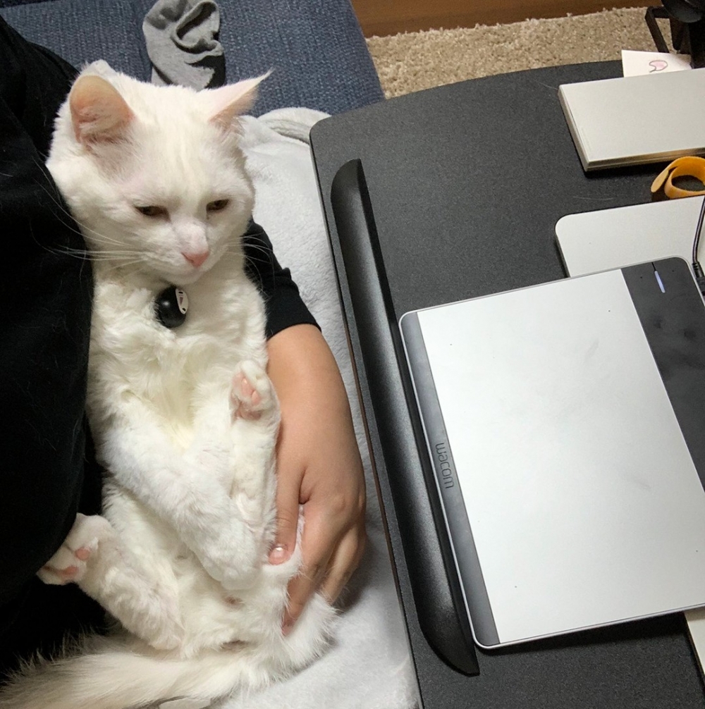 喵：「這裡不錯嘛～」