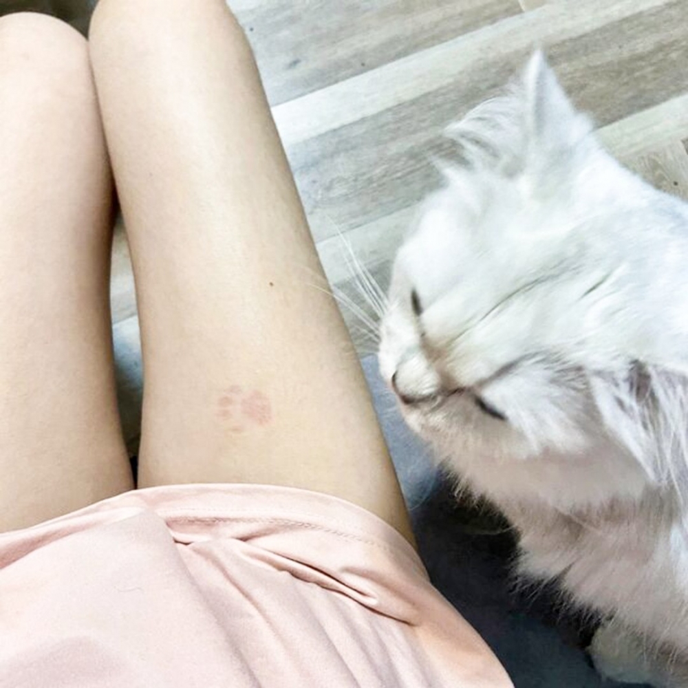 喵：「這是禮物！不是因為朕太重啦～」