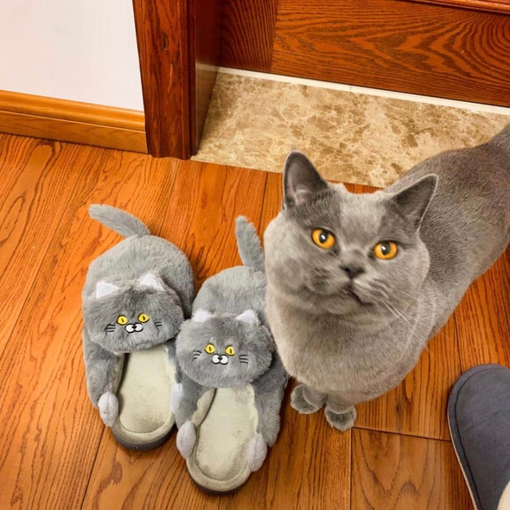 奴才：「放在一起才發現真的很神似！」