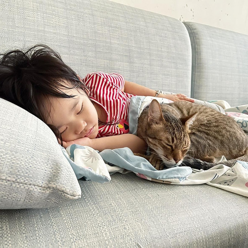 奴才：「都睡得很香呢～要做個好夢哦❤️」