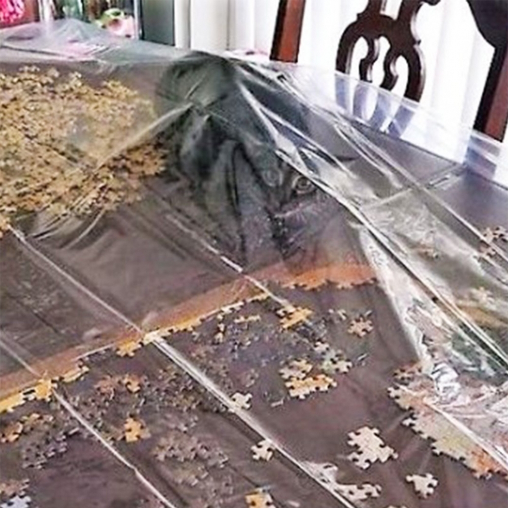 喵：「噢不！被抓到了」