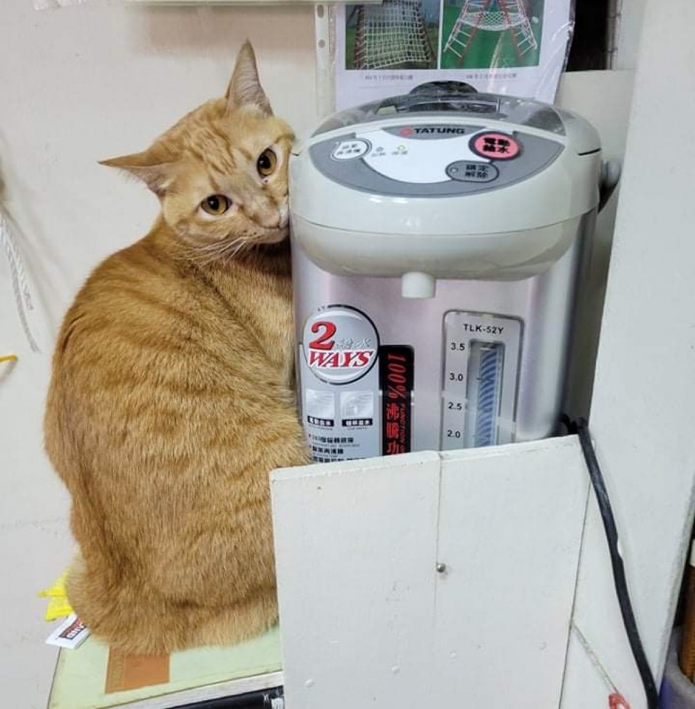 被轉移方向的熱水瓶