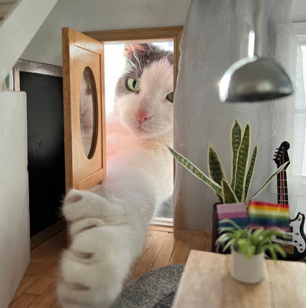 奴才：「這老鼠不害怕才怪吧」