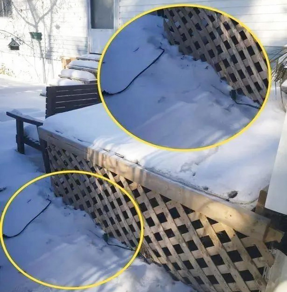 喵：「窩是小英雄貓?」