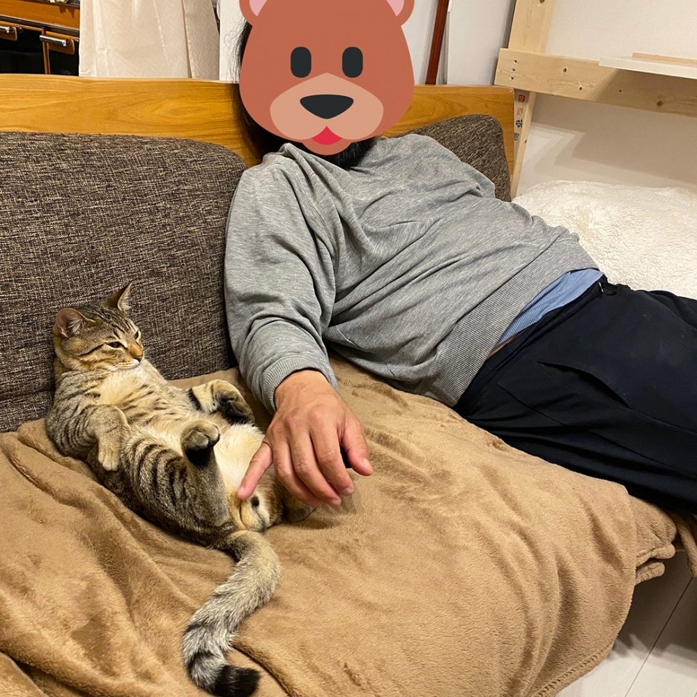 喵：「這沙發以後就是朕的龍椅了！」