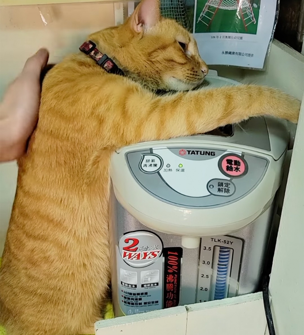 奴才：「取暖的主子給摸摸～心空❤️」