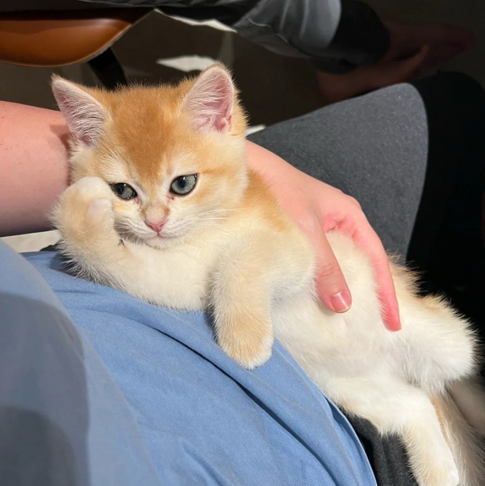 奴才：「與生俱來的女皇氣息」