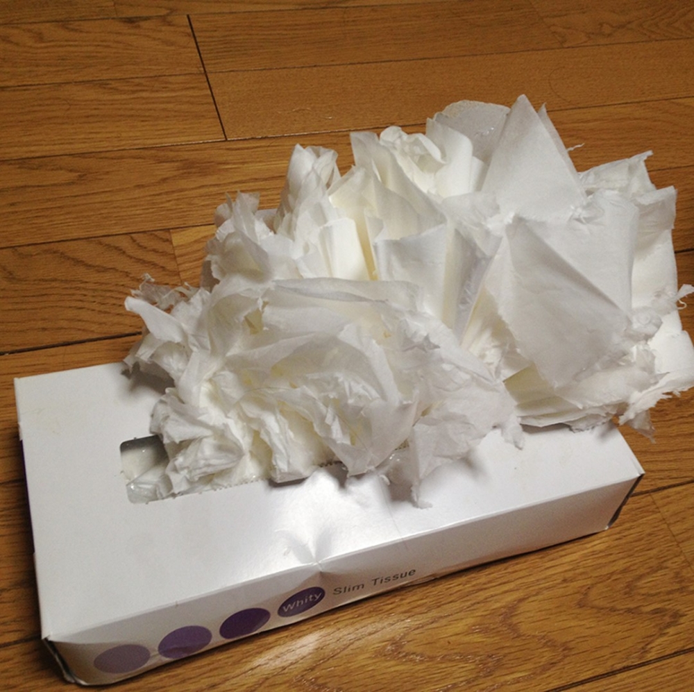 奴才:「你有用紙巾做出紙花嗎?」