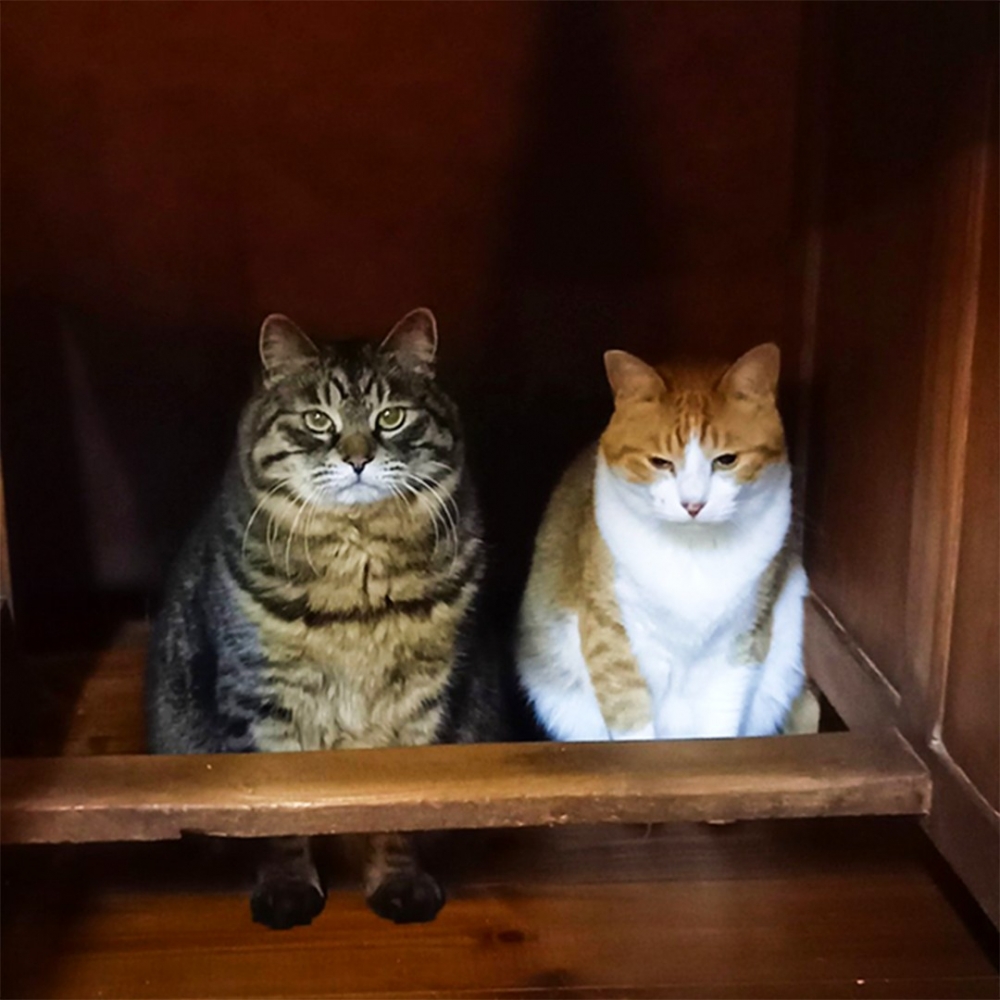 奴才：「那是一條縫不是個位置吧?」