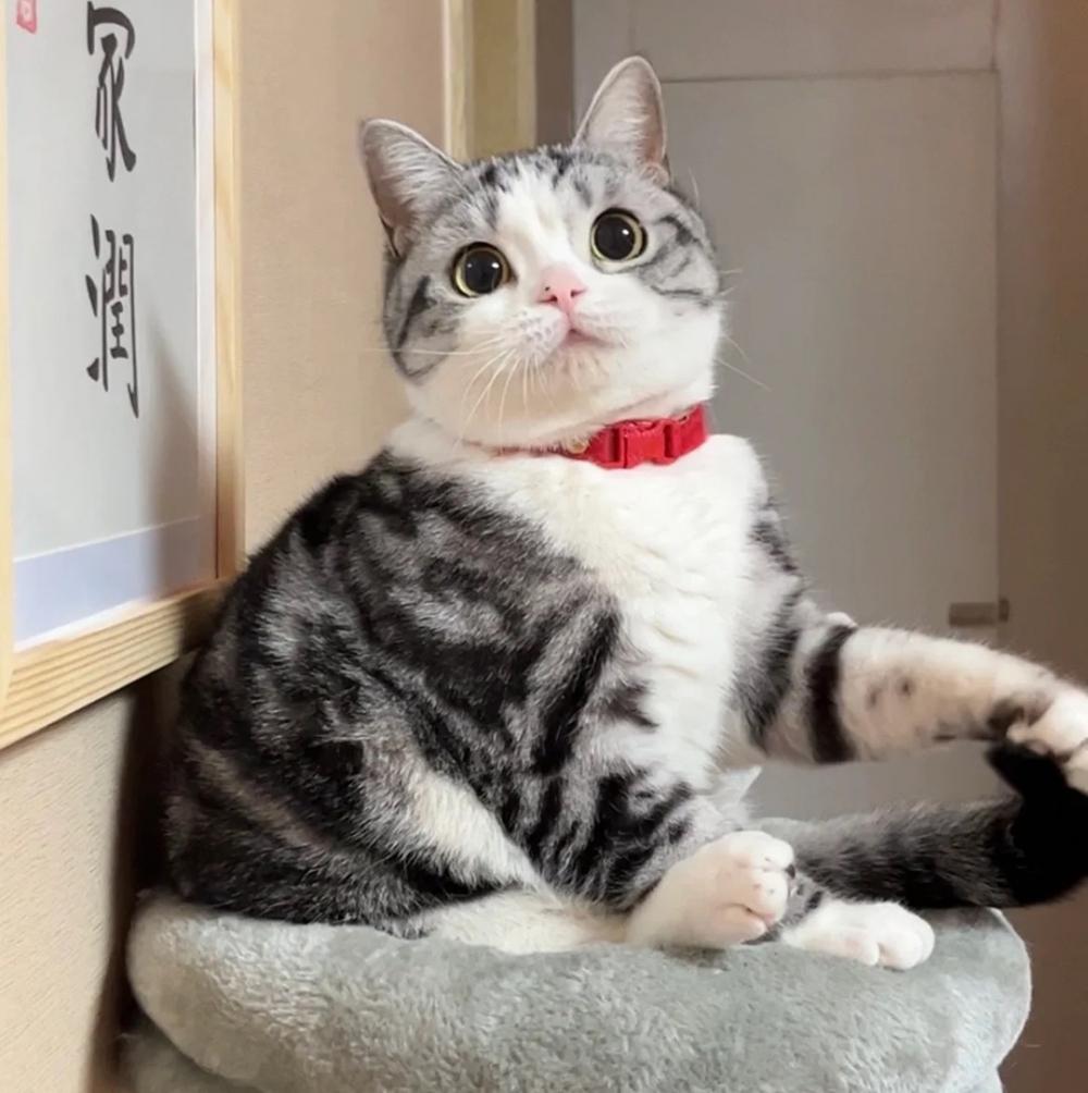 奴才：「心空爆擊！！！」