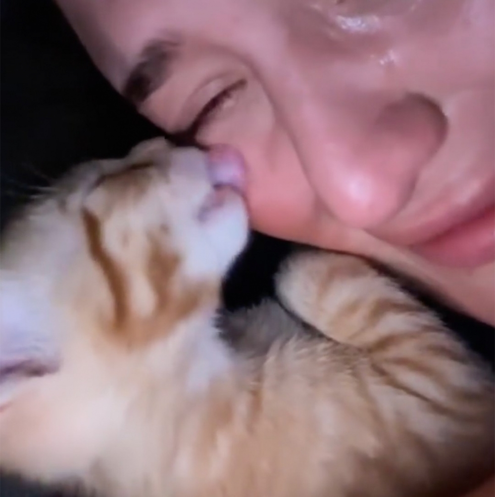 喵崽：「最愛馬麻了❤️」