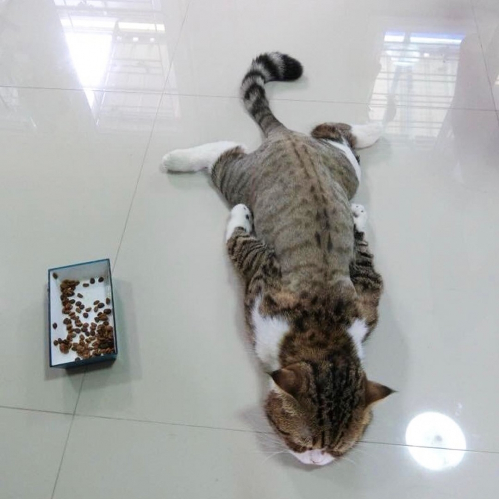 奴才：「旁邊的乾乾都喚不醒你XD」