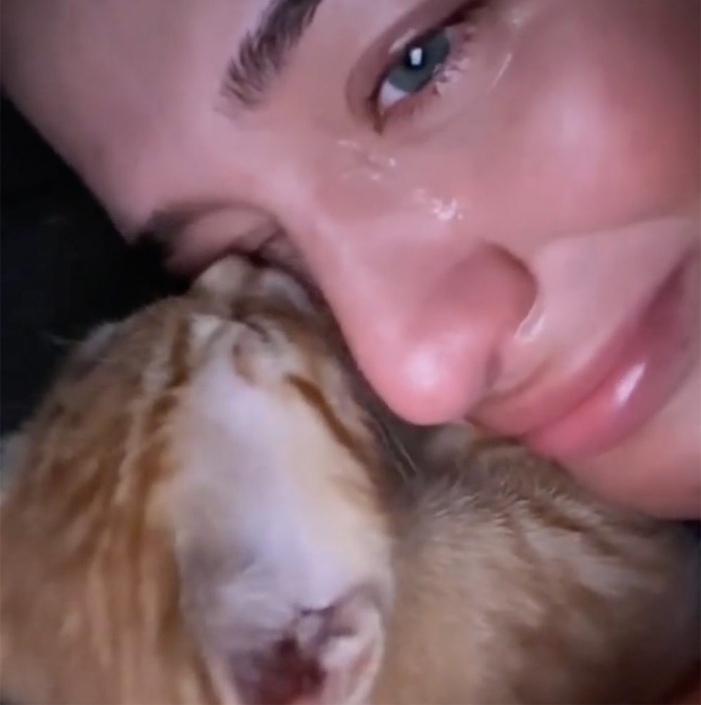 喵：「謝謝馬麻的照顧～窩成長得很好噢」