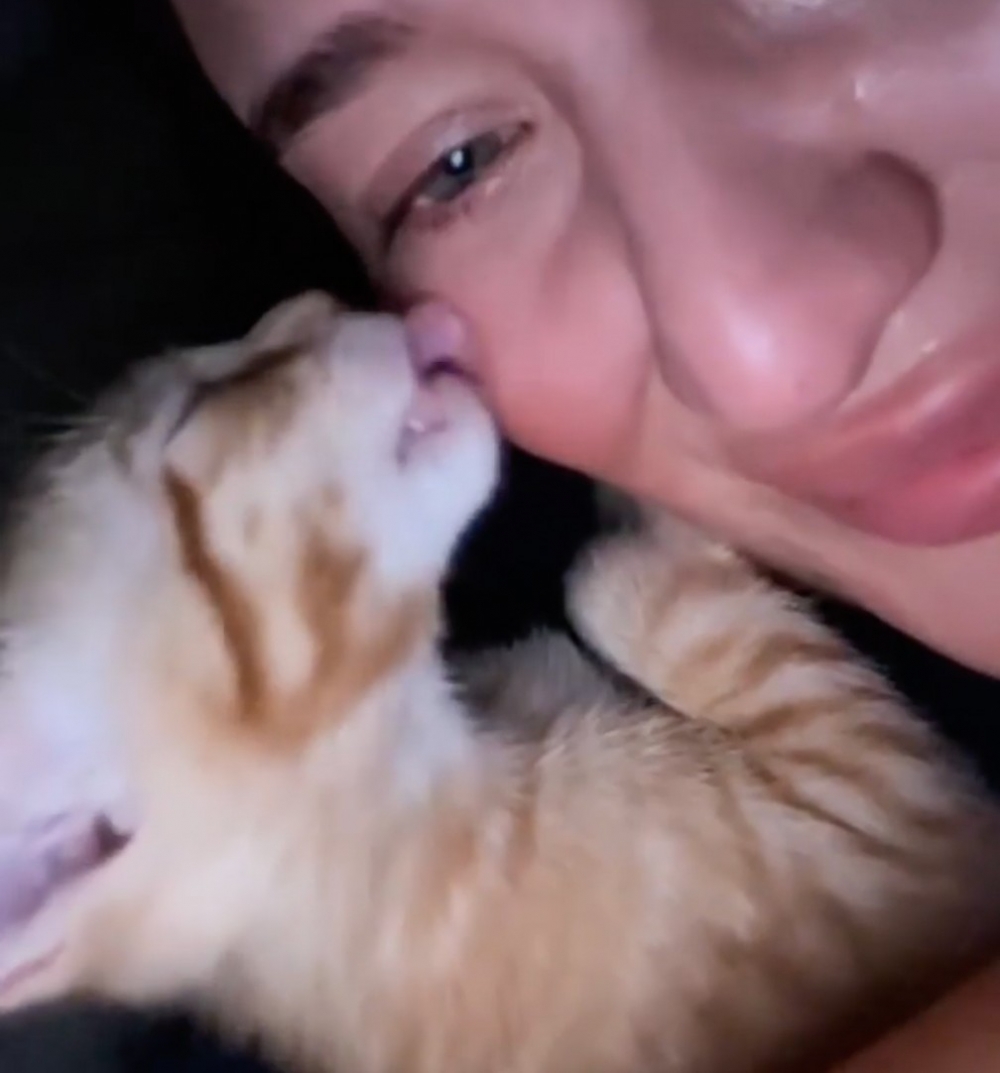 超貼心的小貓咪～