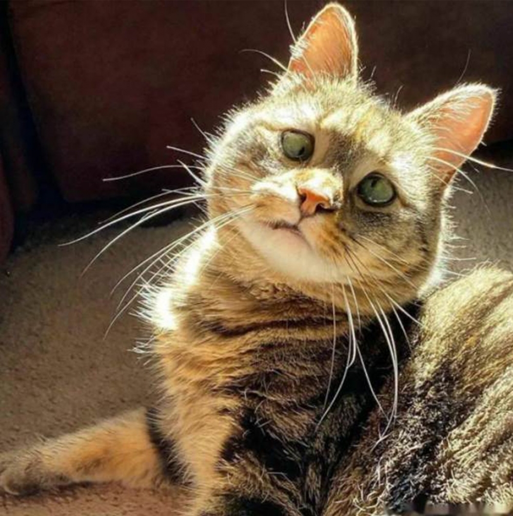 無論以前被如何對待，依然懷著一顆赤子之心