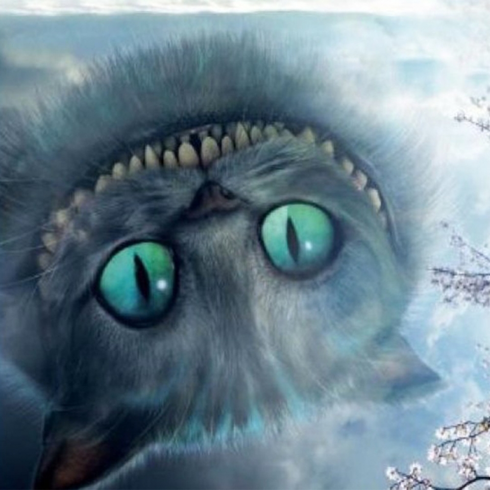 妙妙喵：「Hi～～」