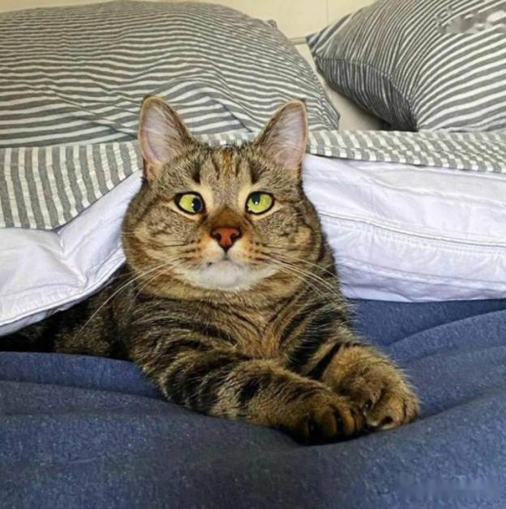 獨特的外型，別樣的可愛❤️