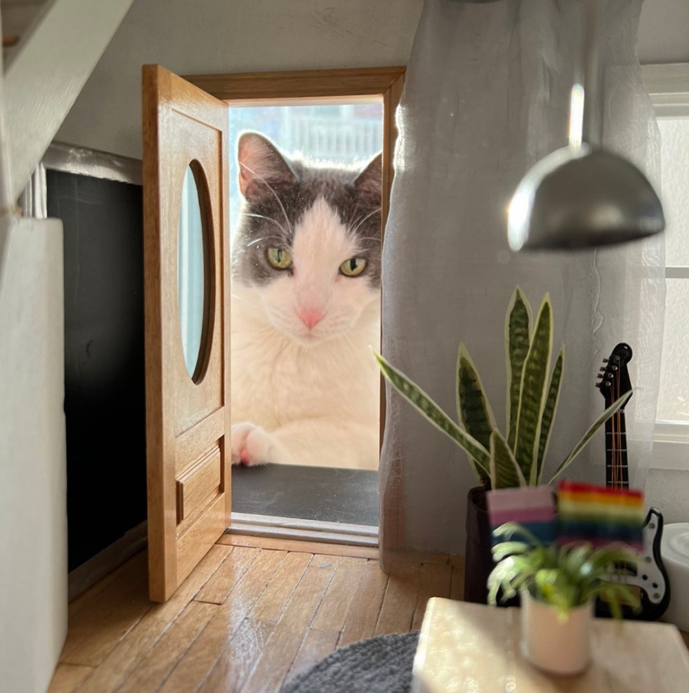 喵：「捕抓獵物時就是靠氣勢！」