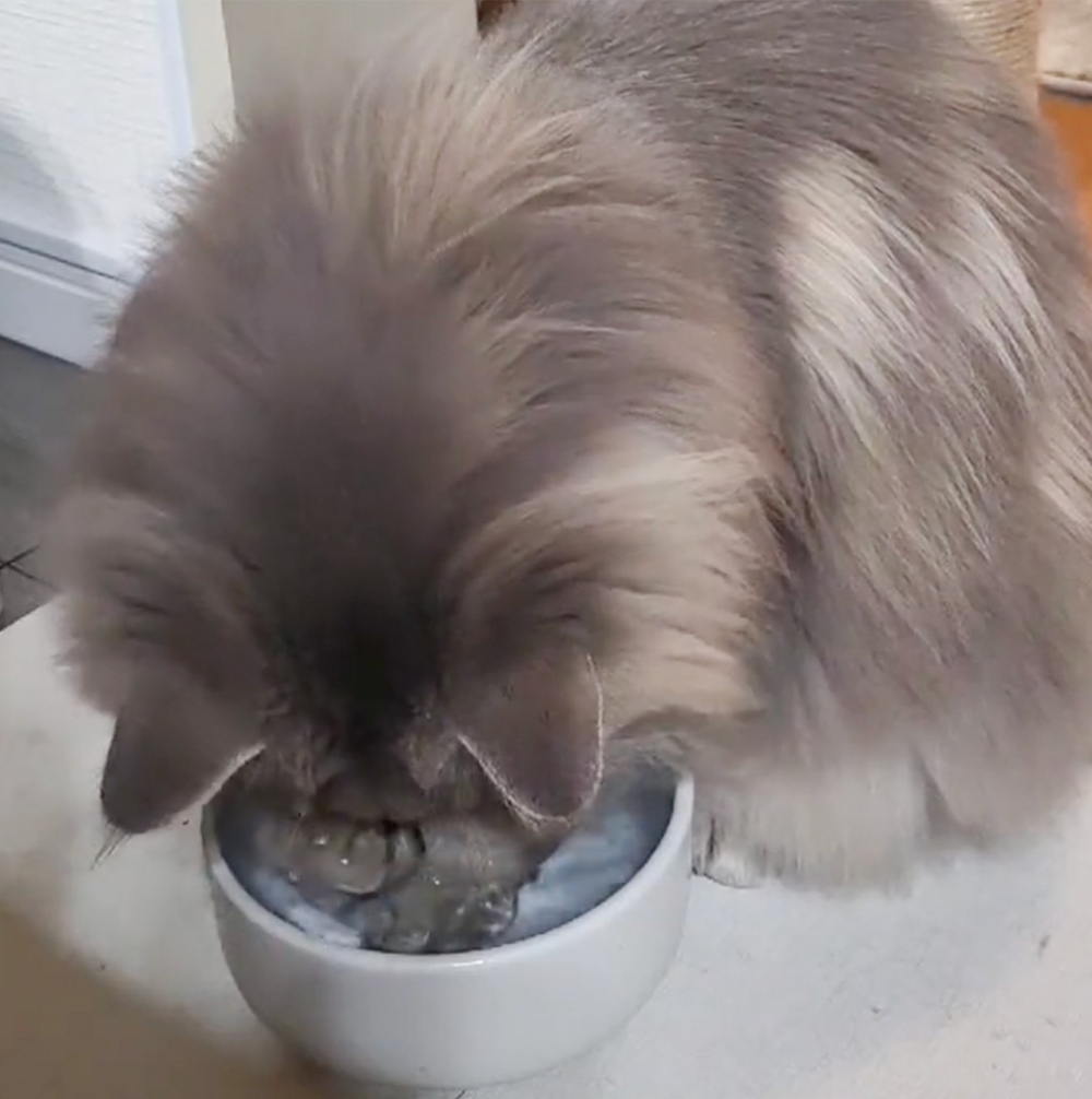 奴才：「心理作用吧？感覺這水有味道」