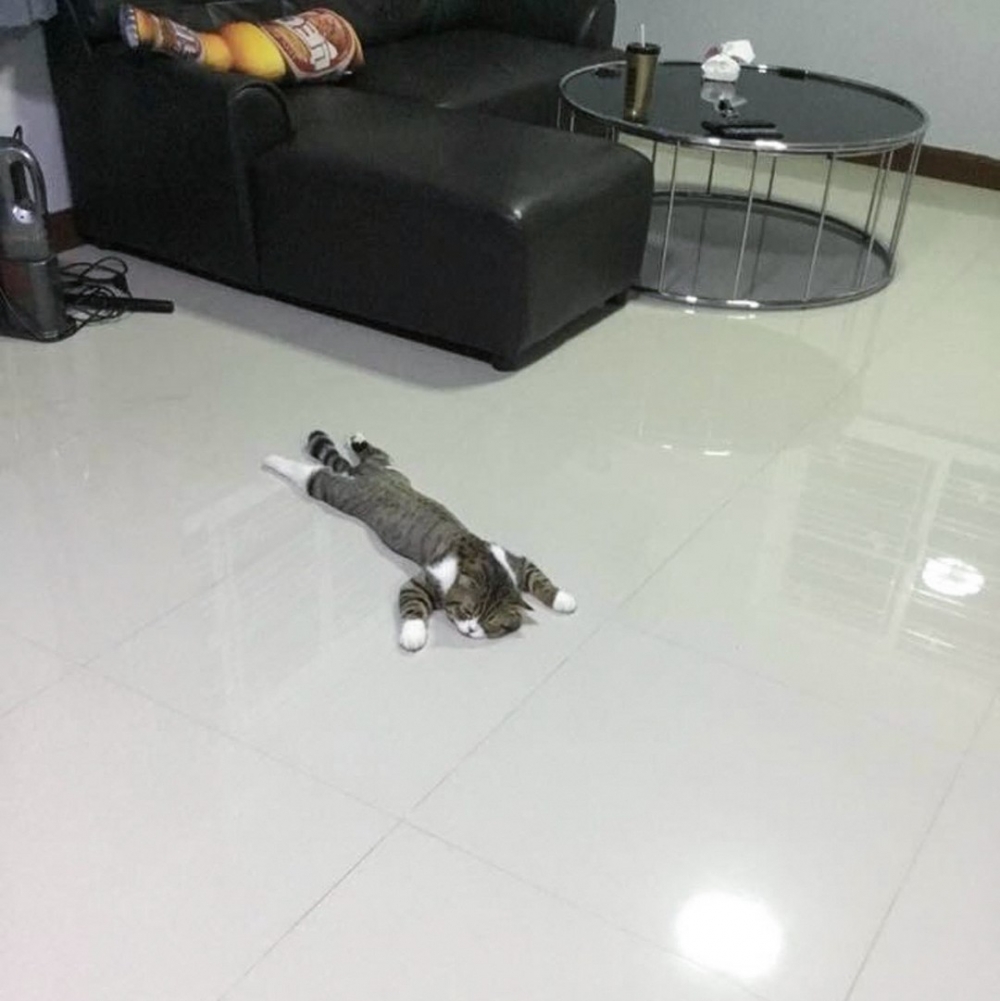 奴才：「這要是不小心一腳下去主子就沒了！」